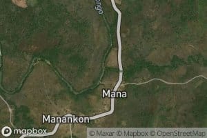 Mana