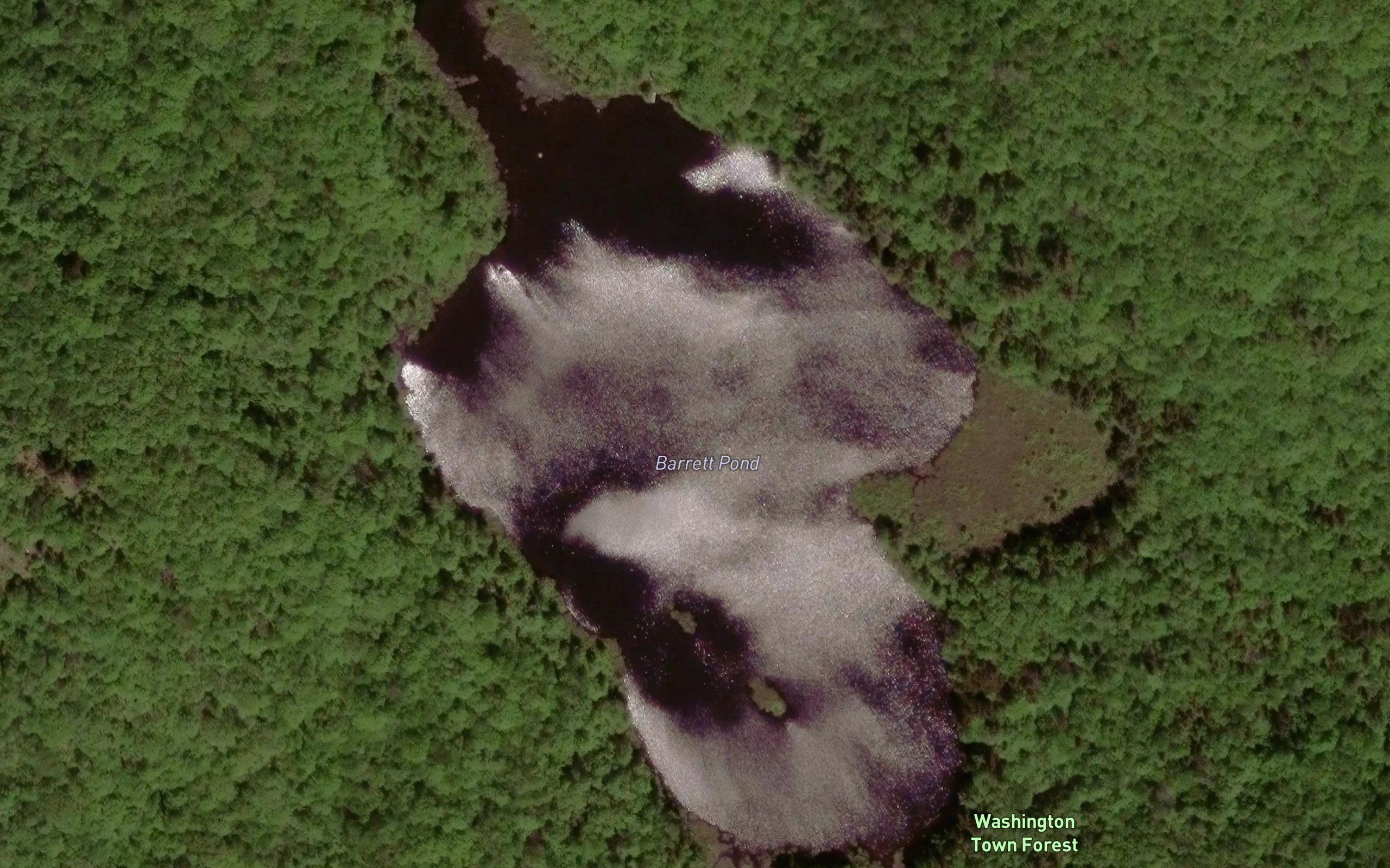 Barrett Pond