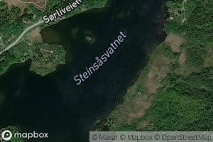 Steinsasvatnet