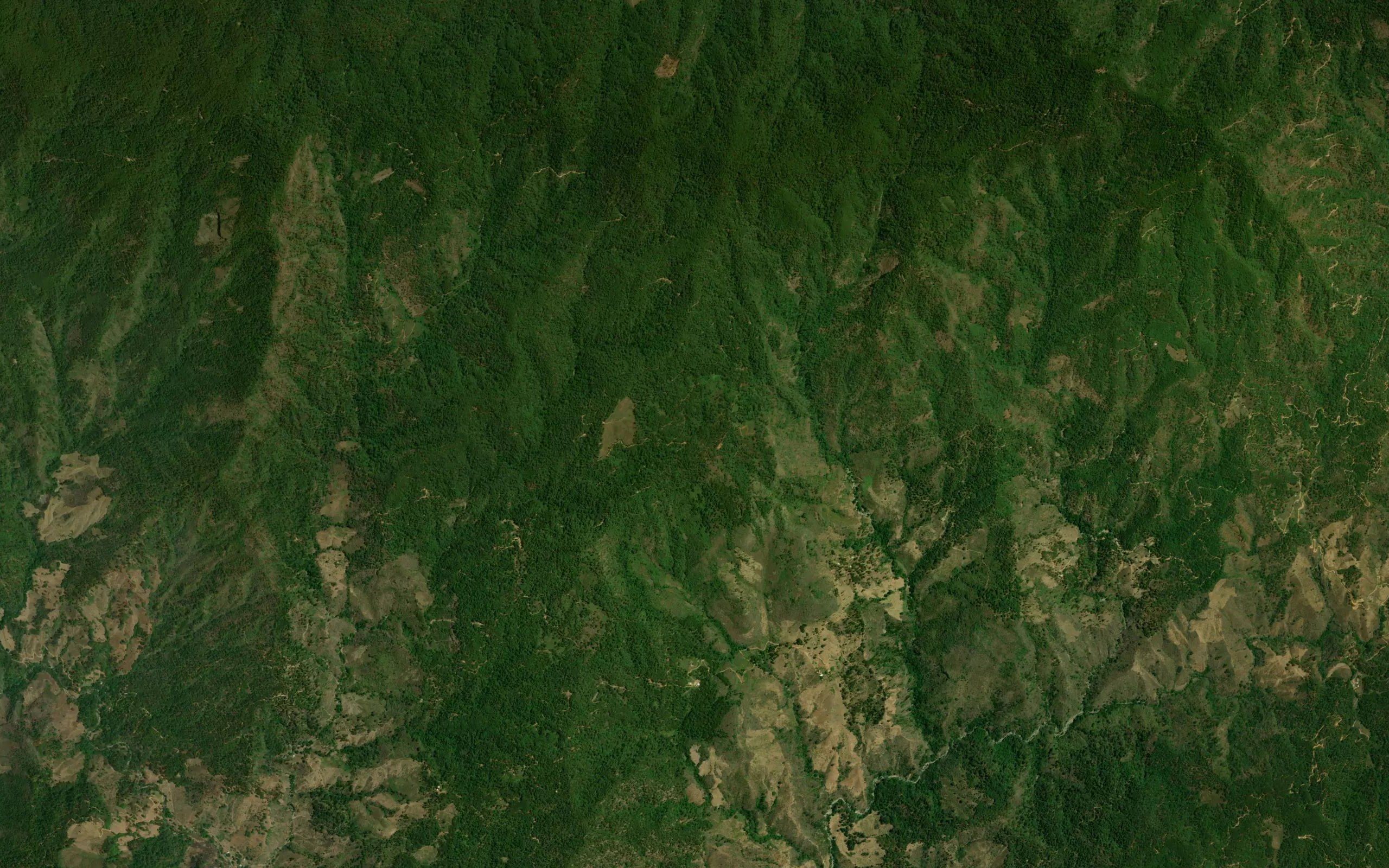 La Palma