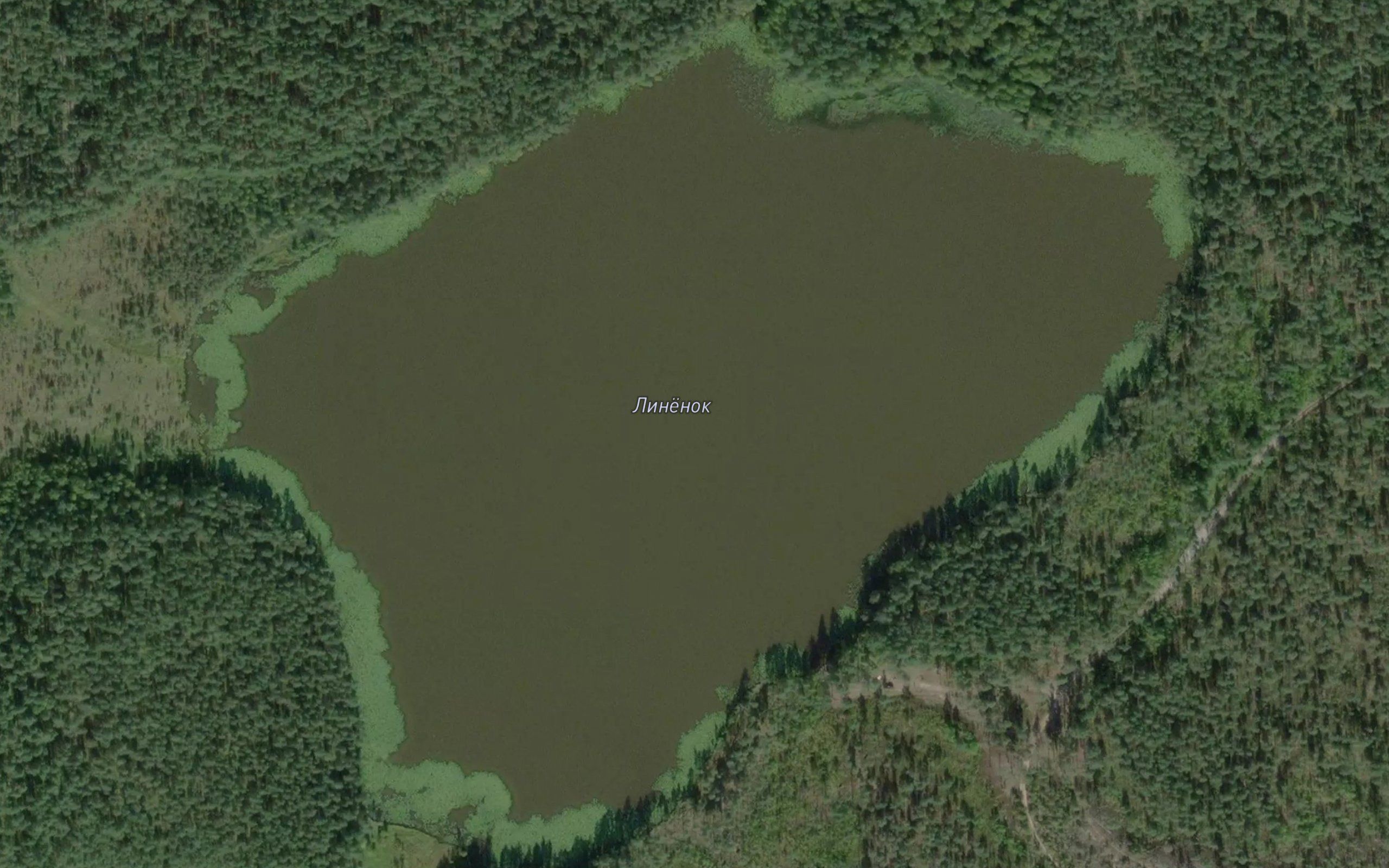 Ozero Linenok