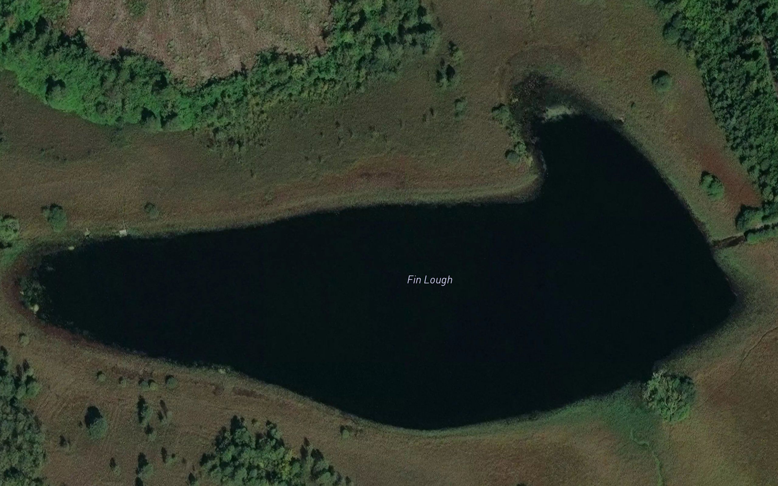 Fin Lough