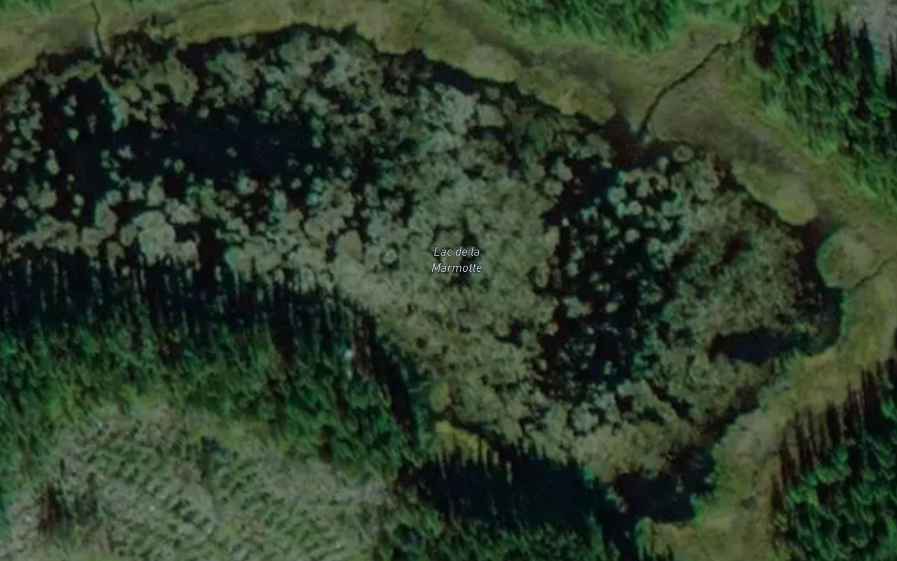 Satellite map of the Lac de la Marmotte