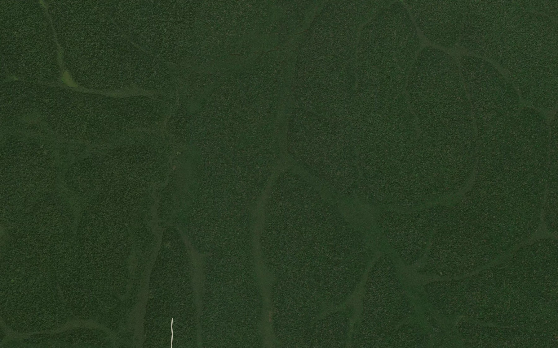Satellite map of the Yankobo