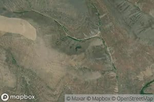 Marlin Spring
