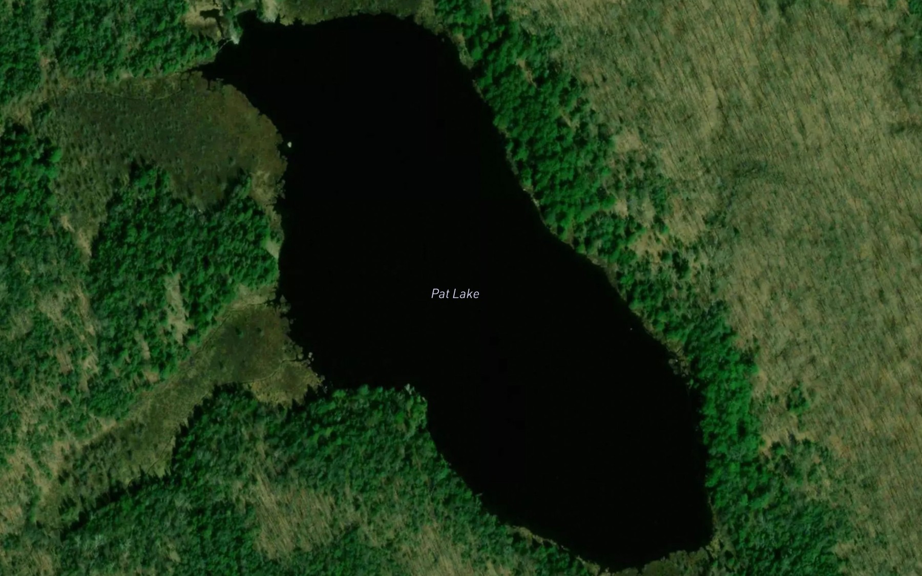 Satellite map of the Pat Lake