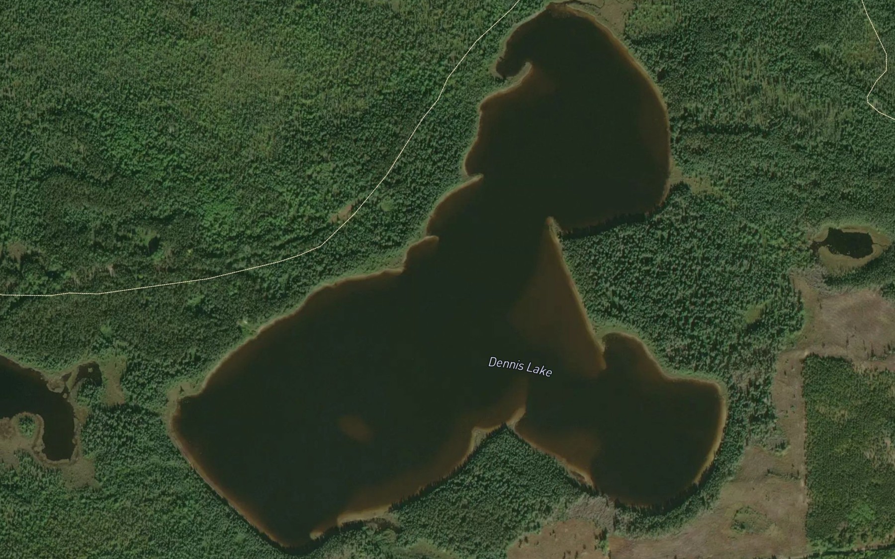 Satellite map of the Dennis Lake