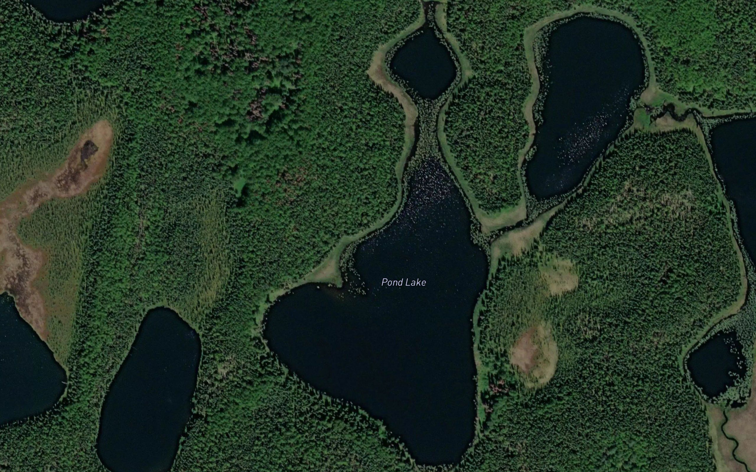 Pond Lake