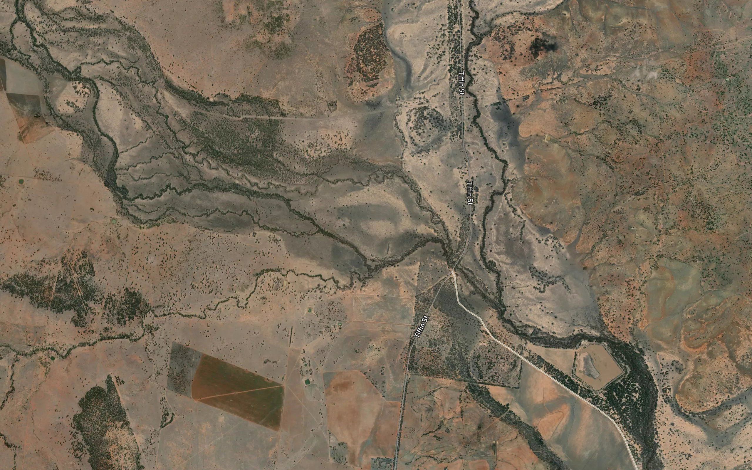 Dingo Creek