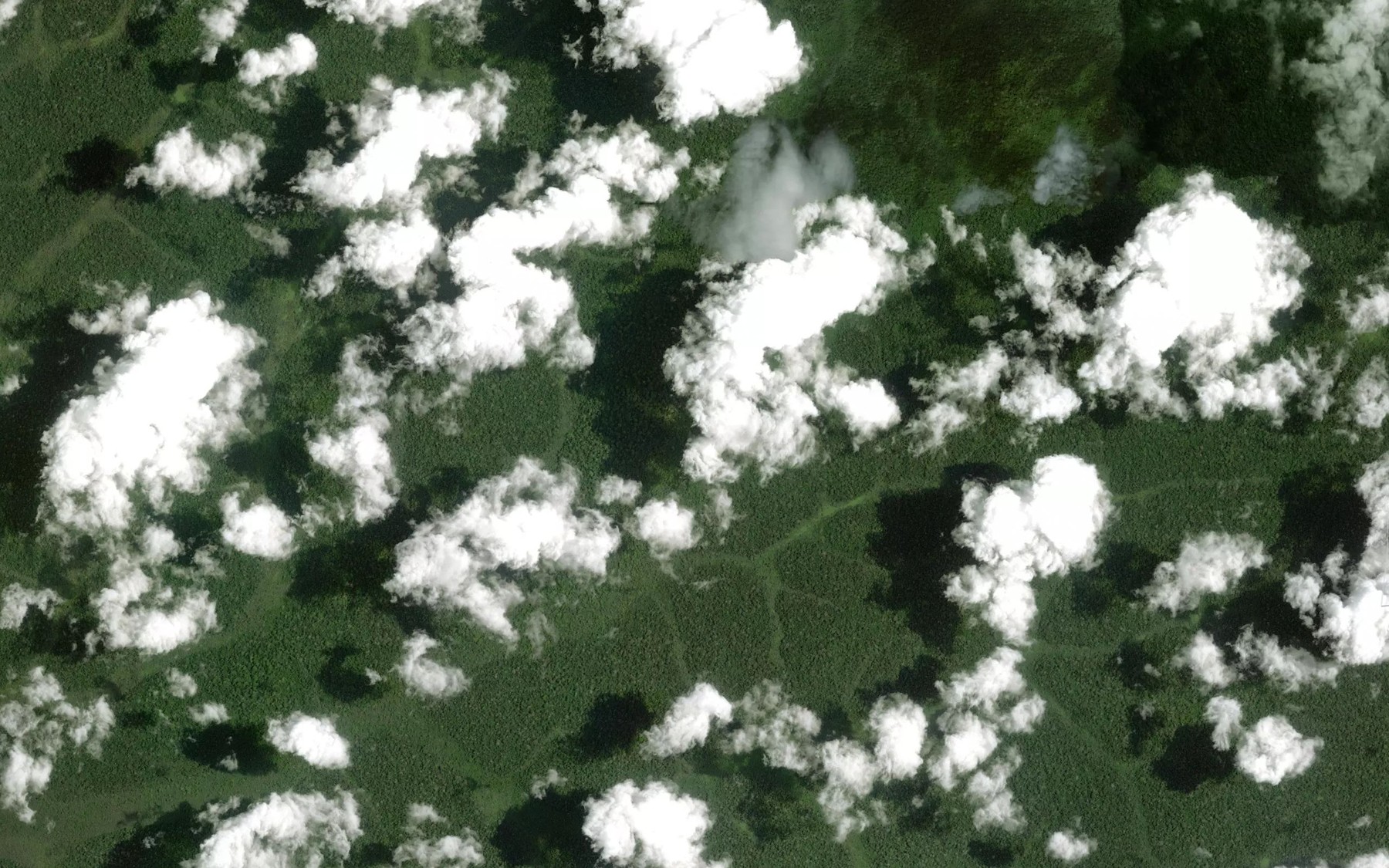 Satellite map of the Bafam