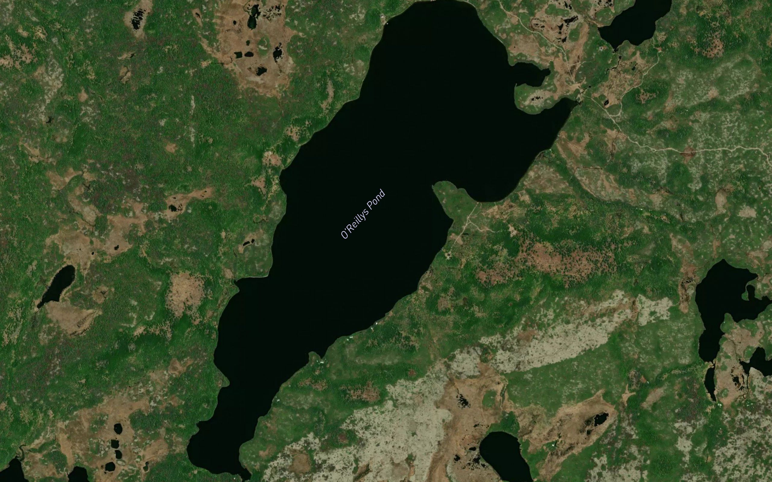 O'Reillys Pond