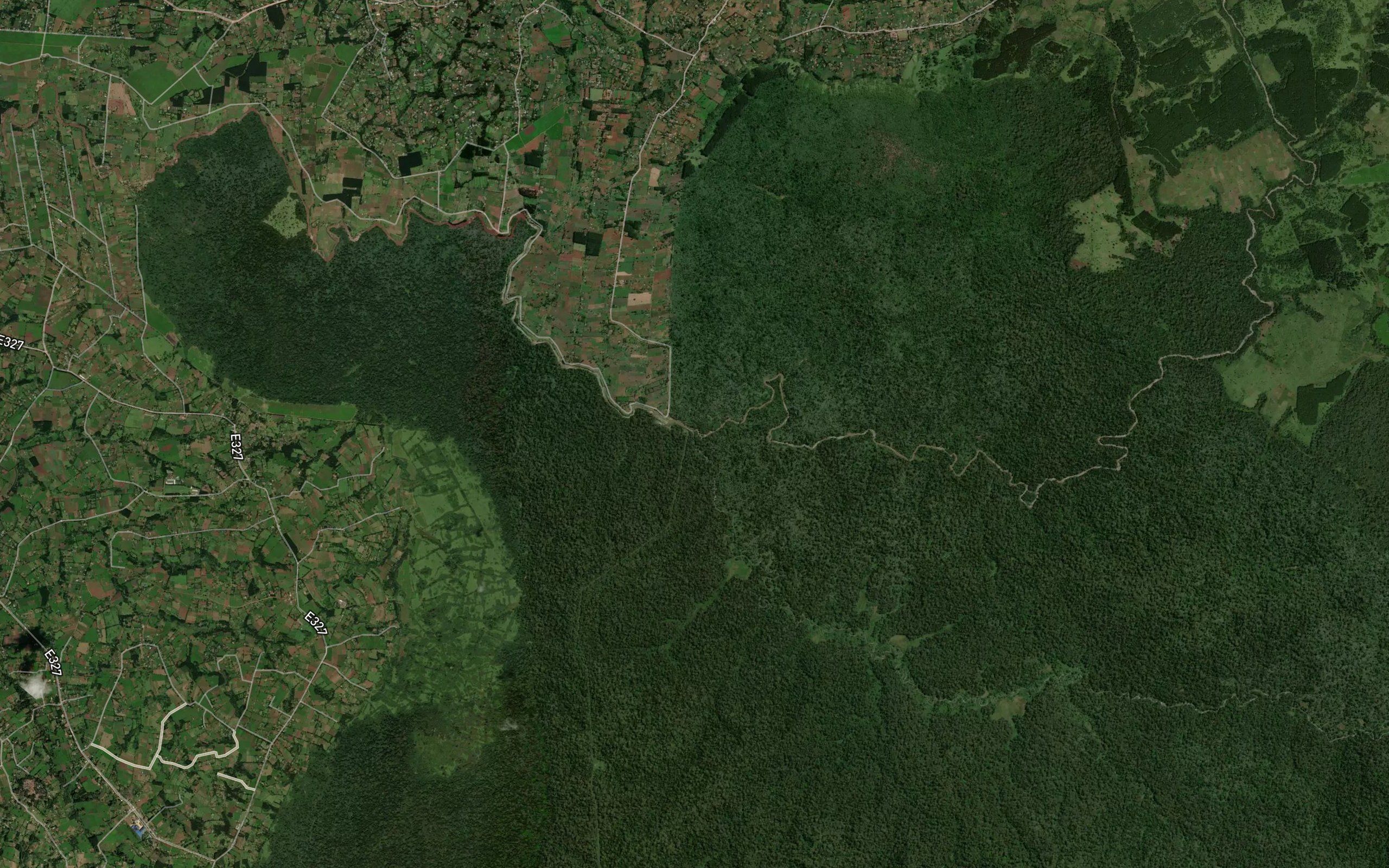 Sirua