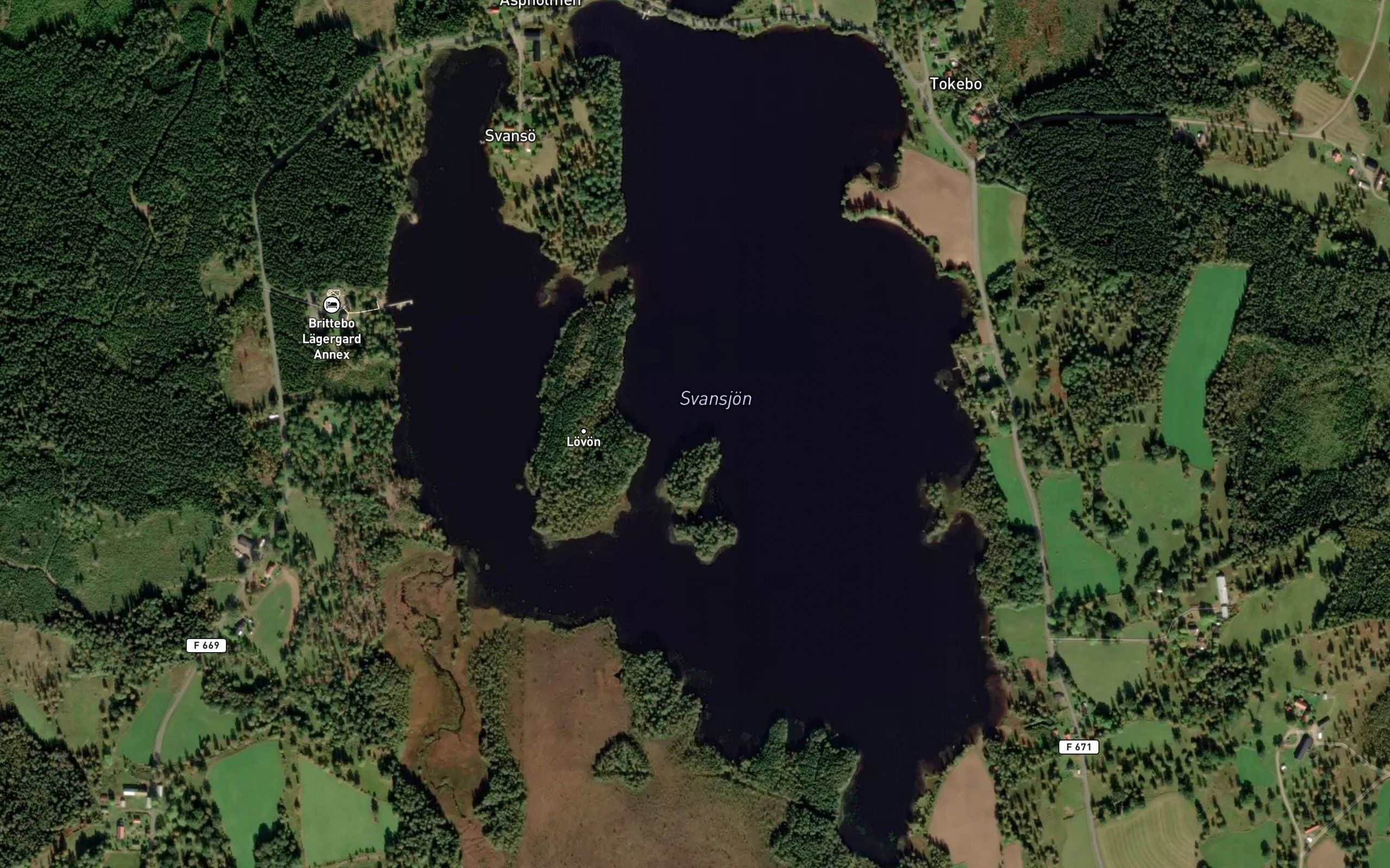 Svansjoen
