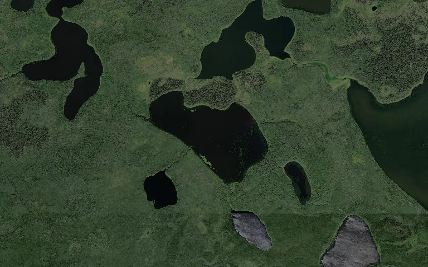 Satellite map of the Abraham Lake