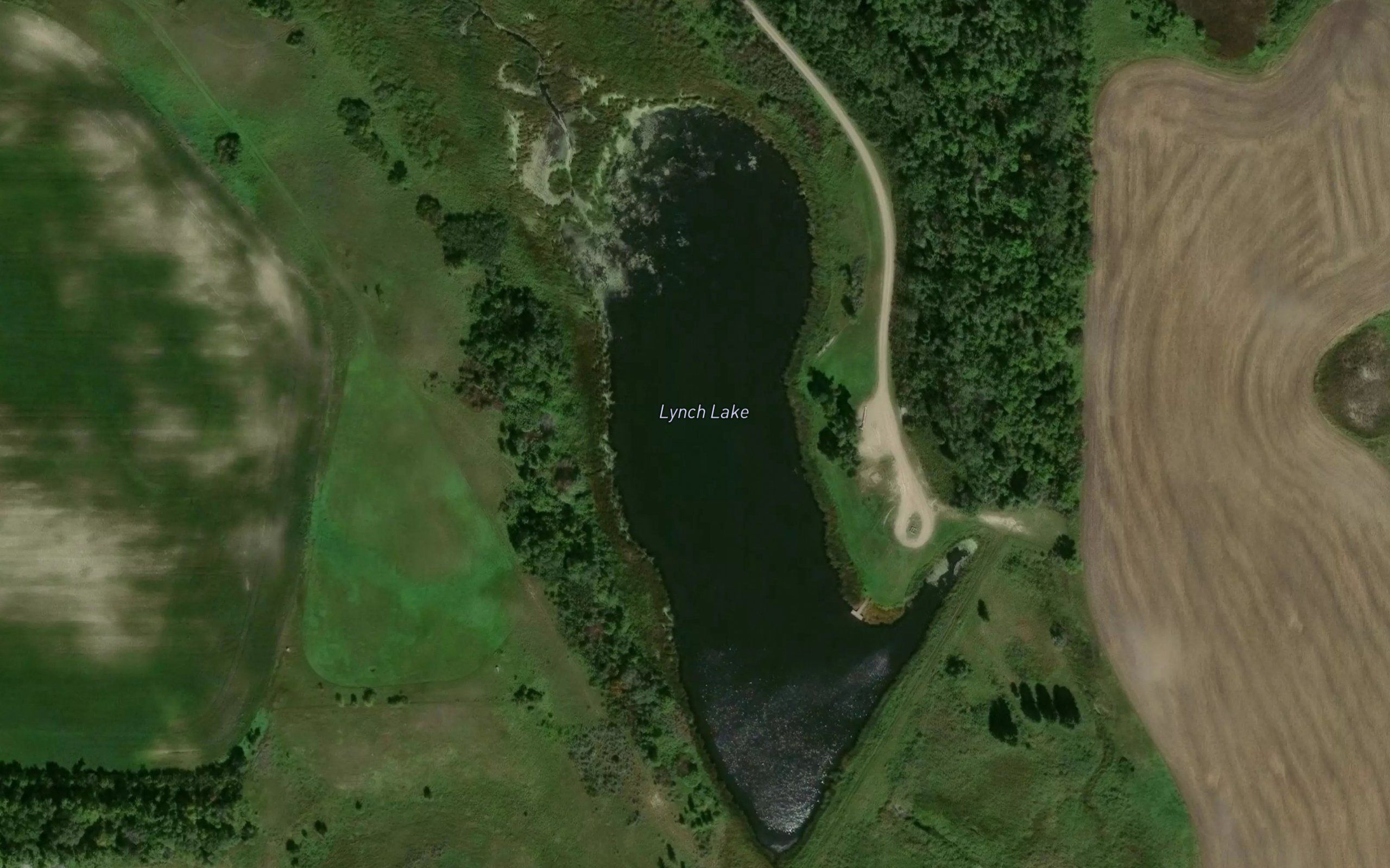 Lynch Lake