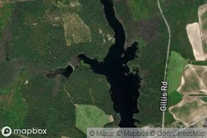 Upper Beaverdam Creek