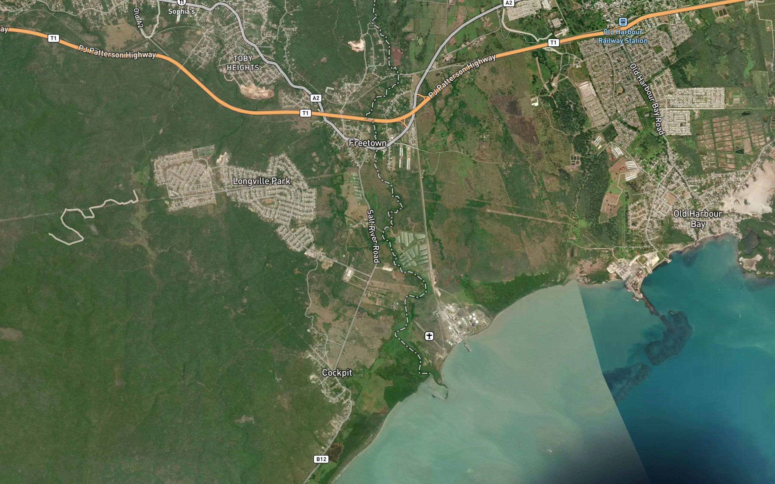Palmetto Gully