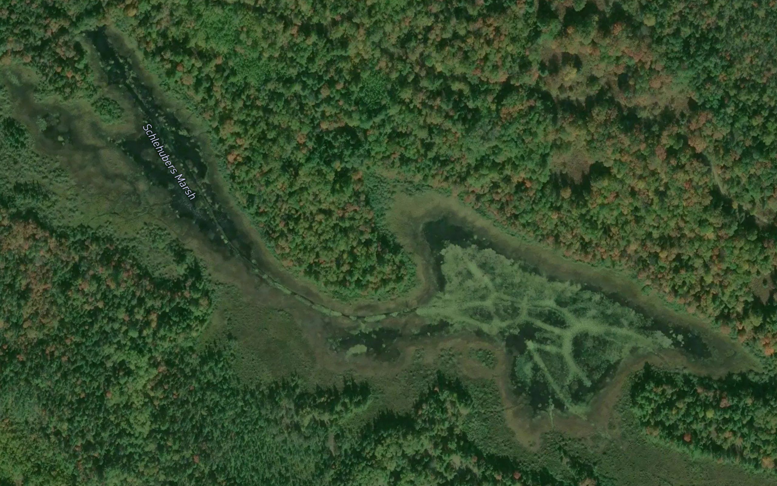 Schlehubers Marsh