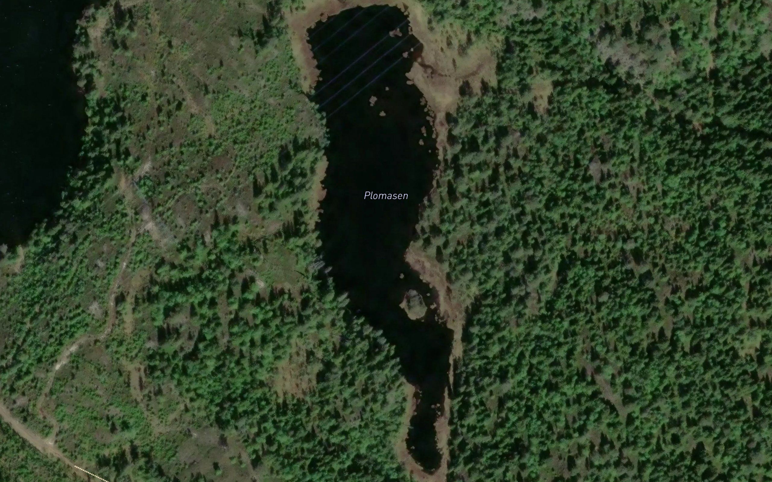 Plomasen