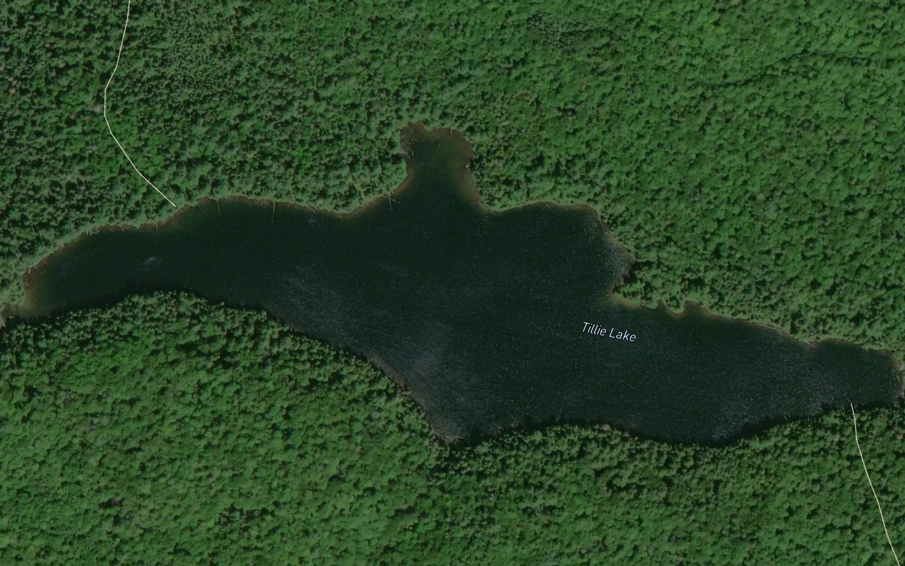 Satellite map of the Tillie Lake