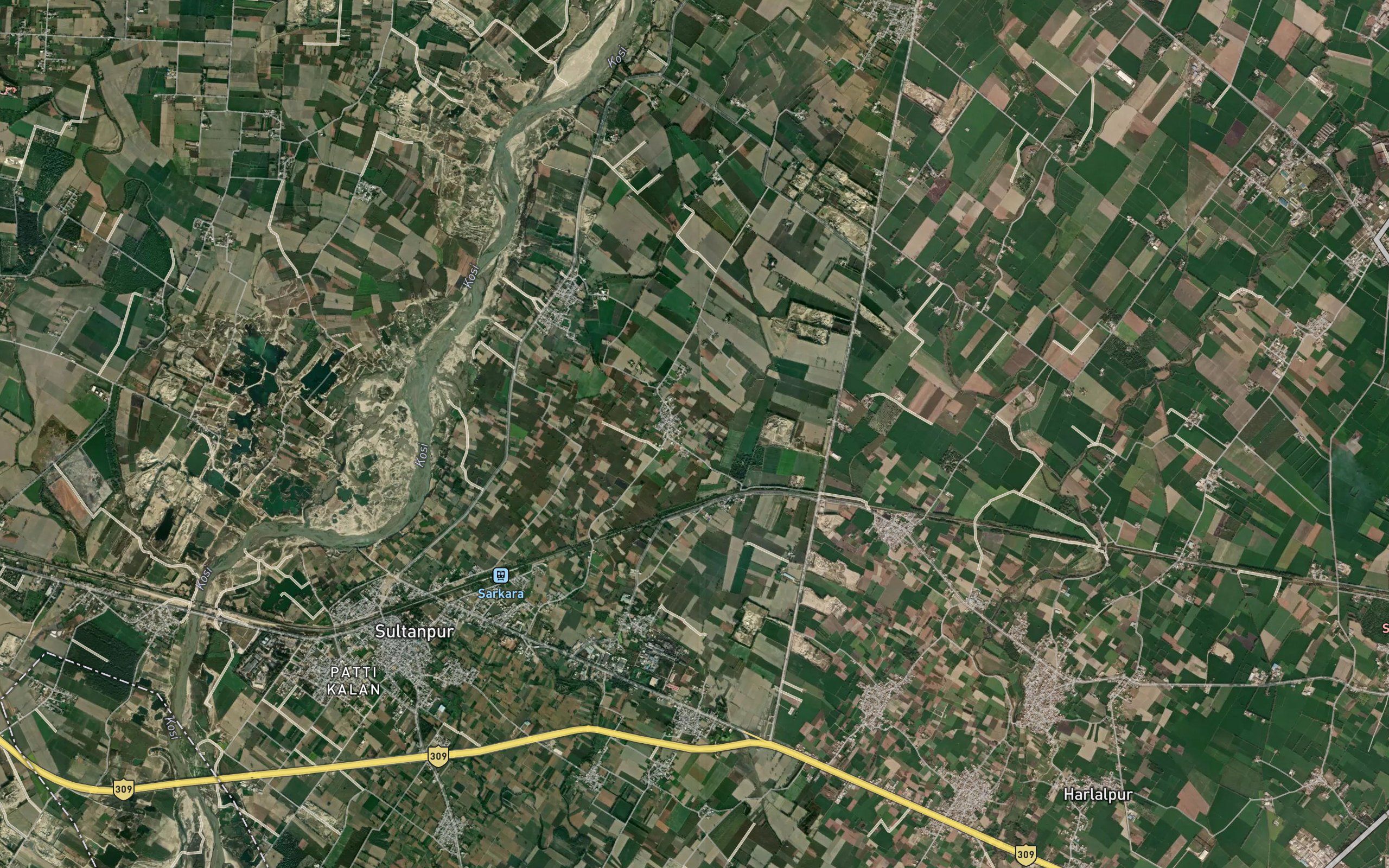 Sarkara Gul