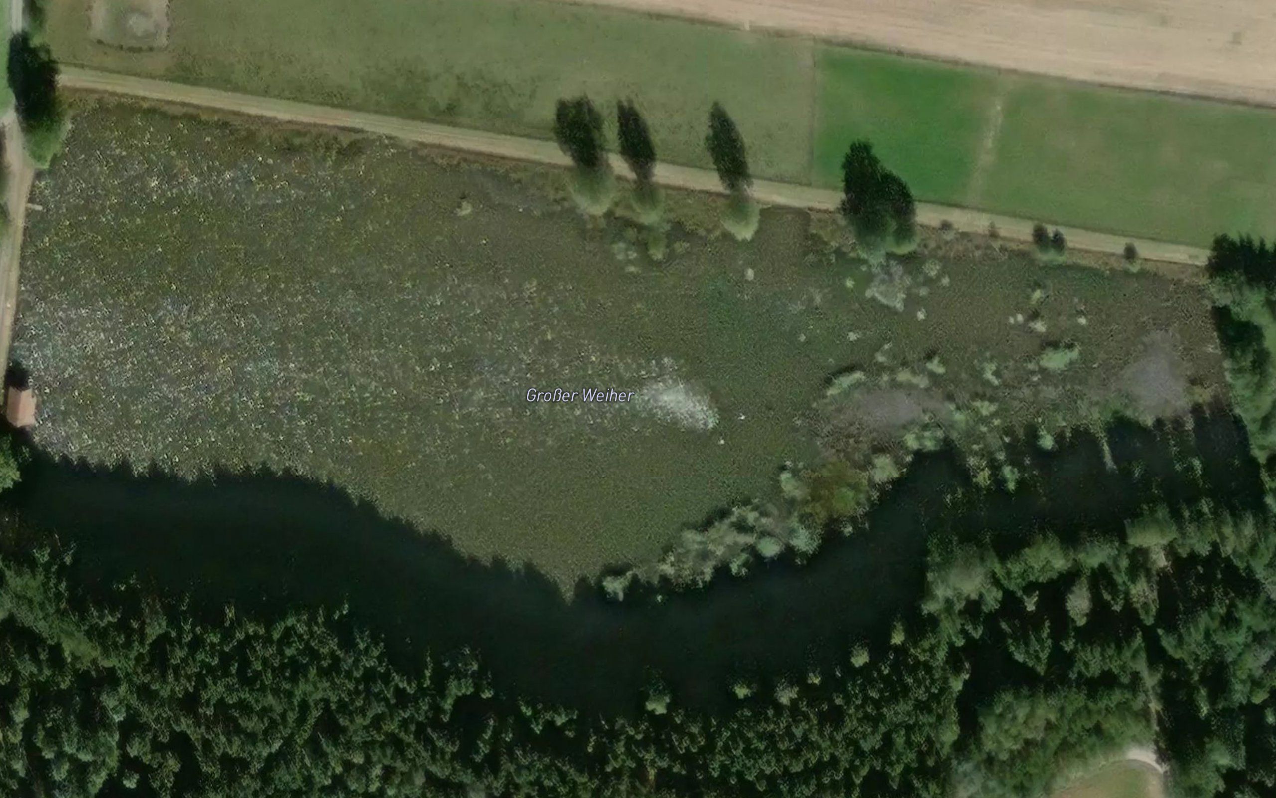 Grosser Weiher