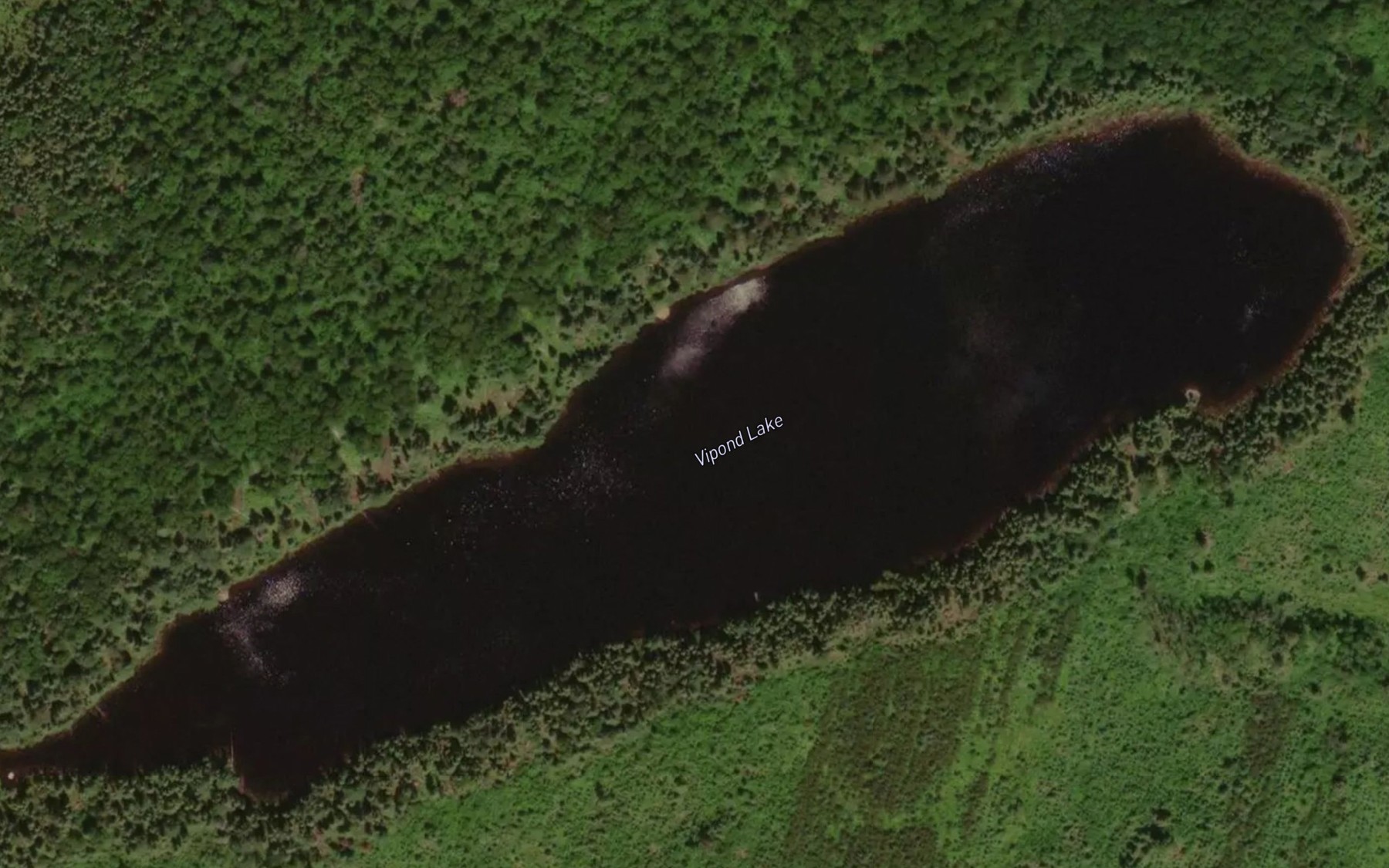 Satellite map of the Vipond Lake