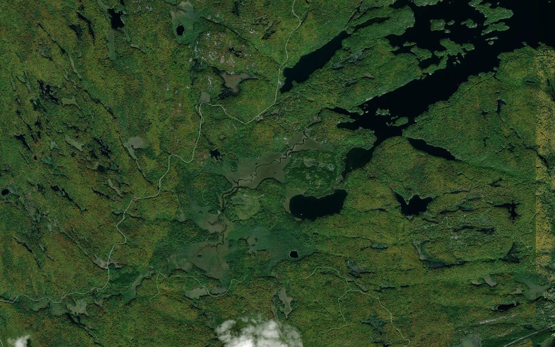 Satellite map of the Coburn Creek