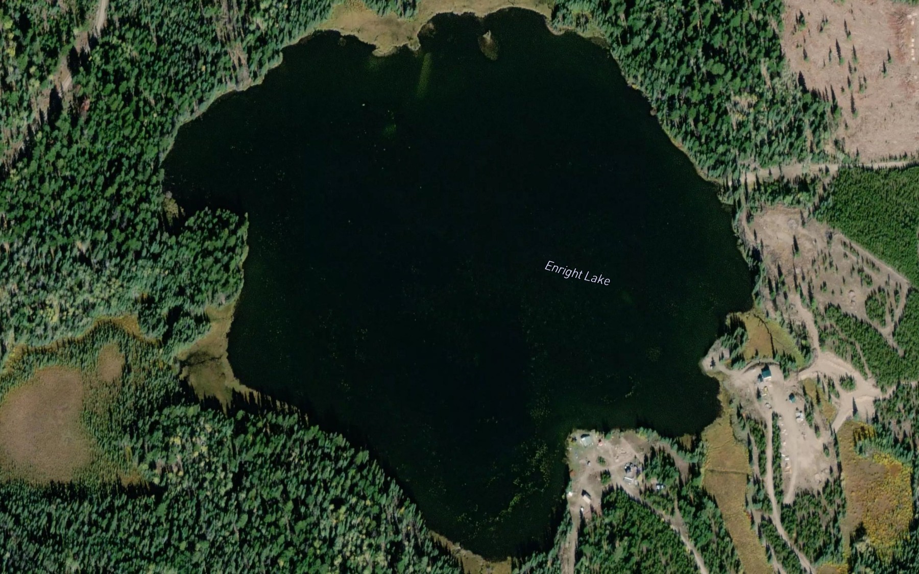 Satellite map of the Enright Lake