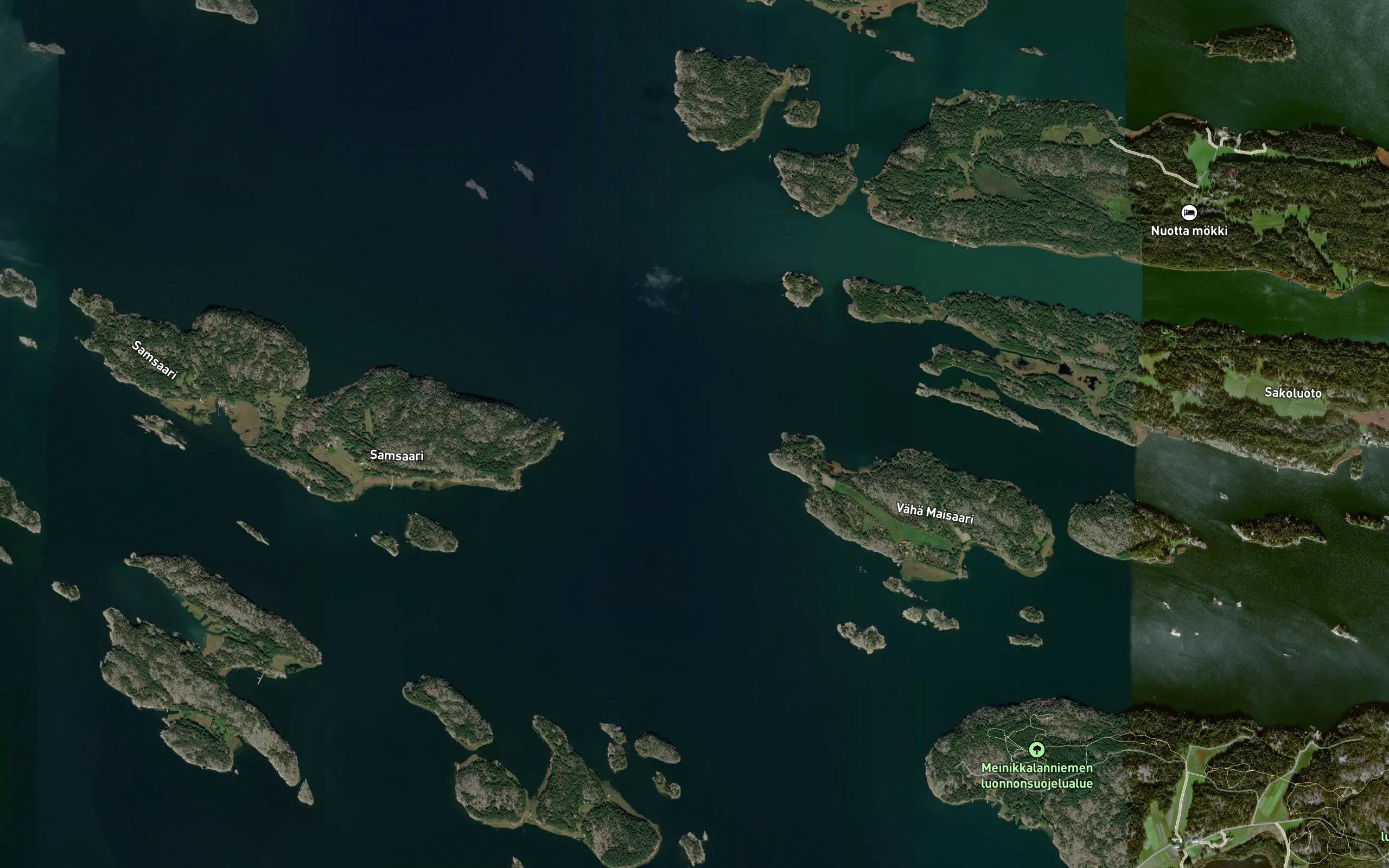 Falkinkurkku