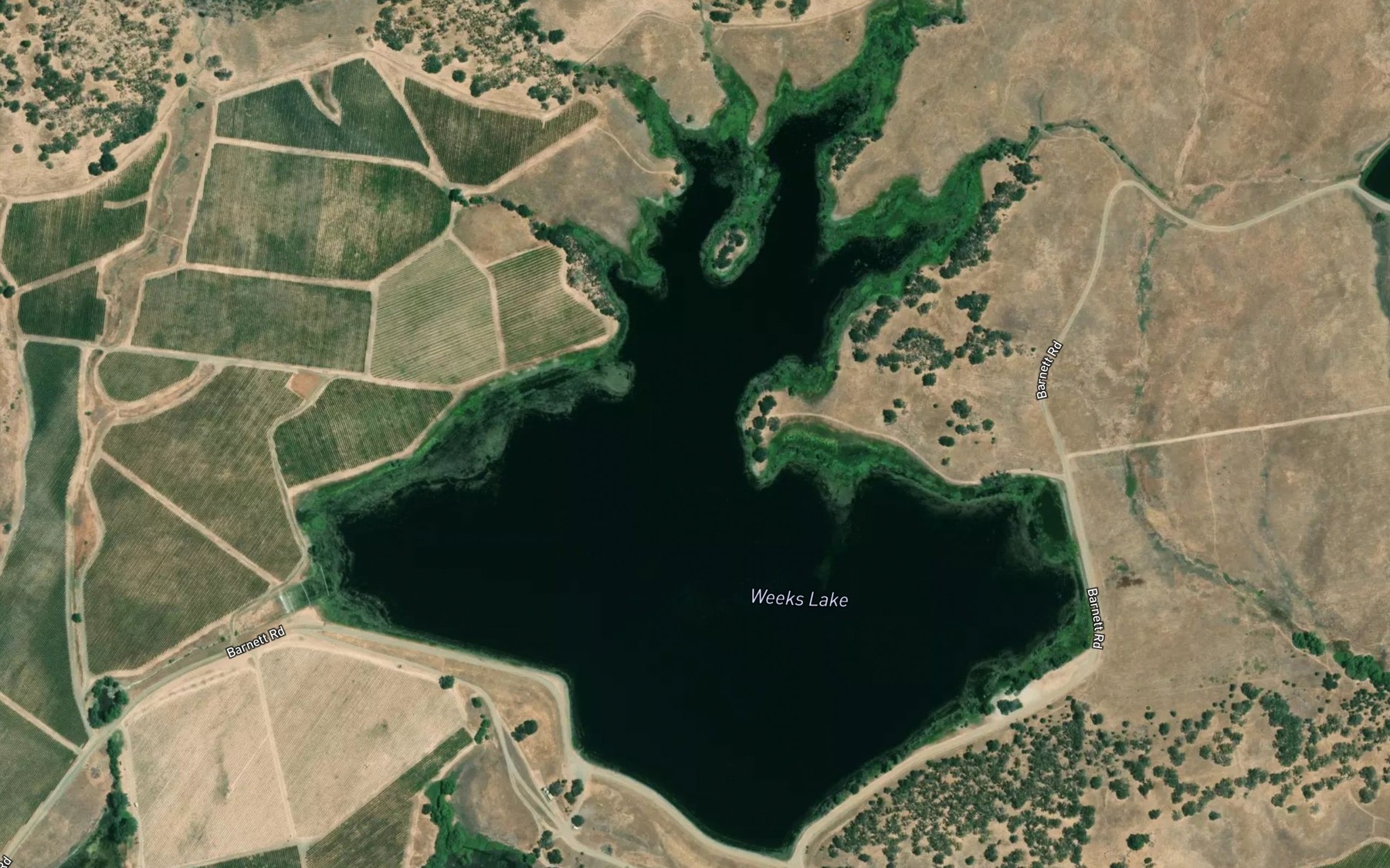 Satellite map of the Weeks Lake