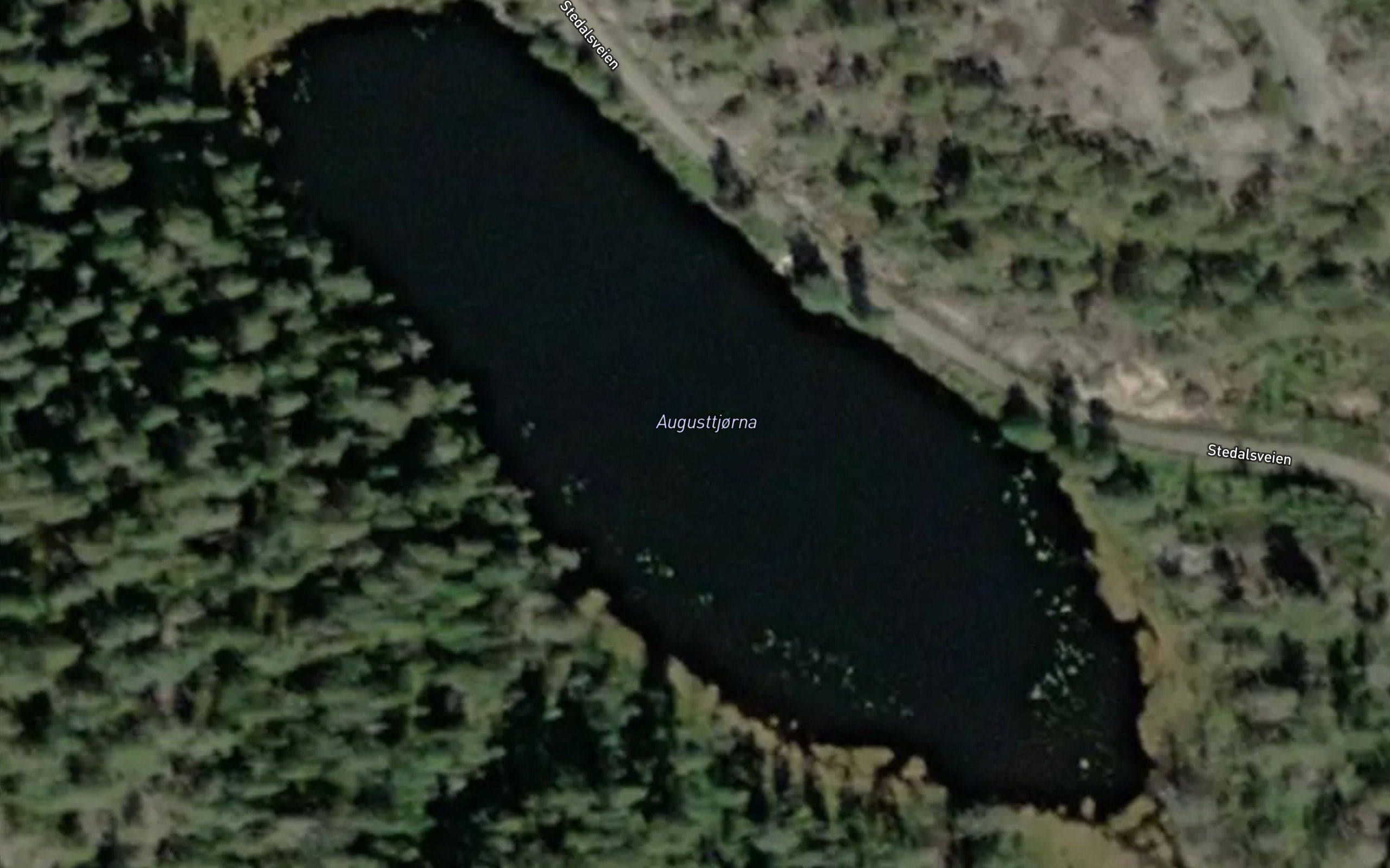 Augusttjorna