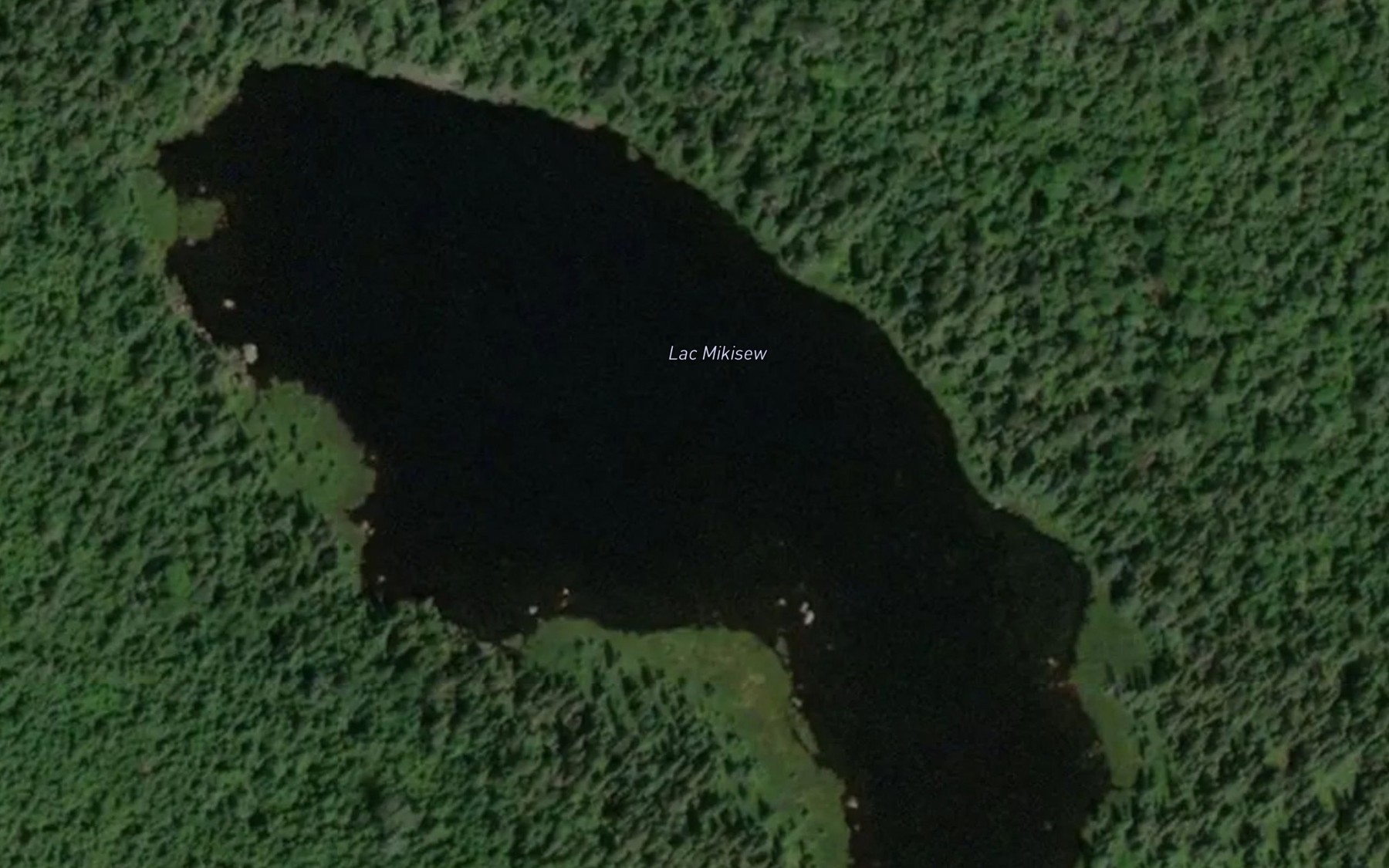 Satellite map of the Lac Mikisew