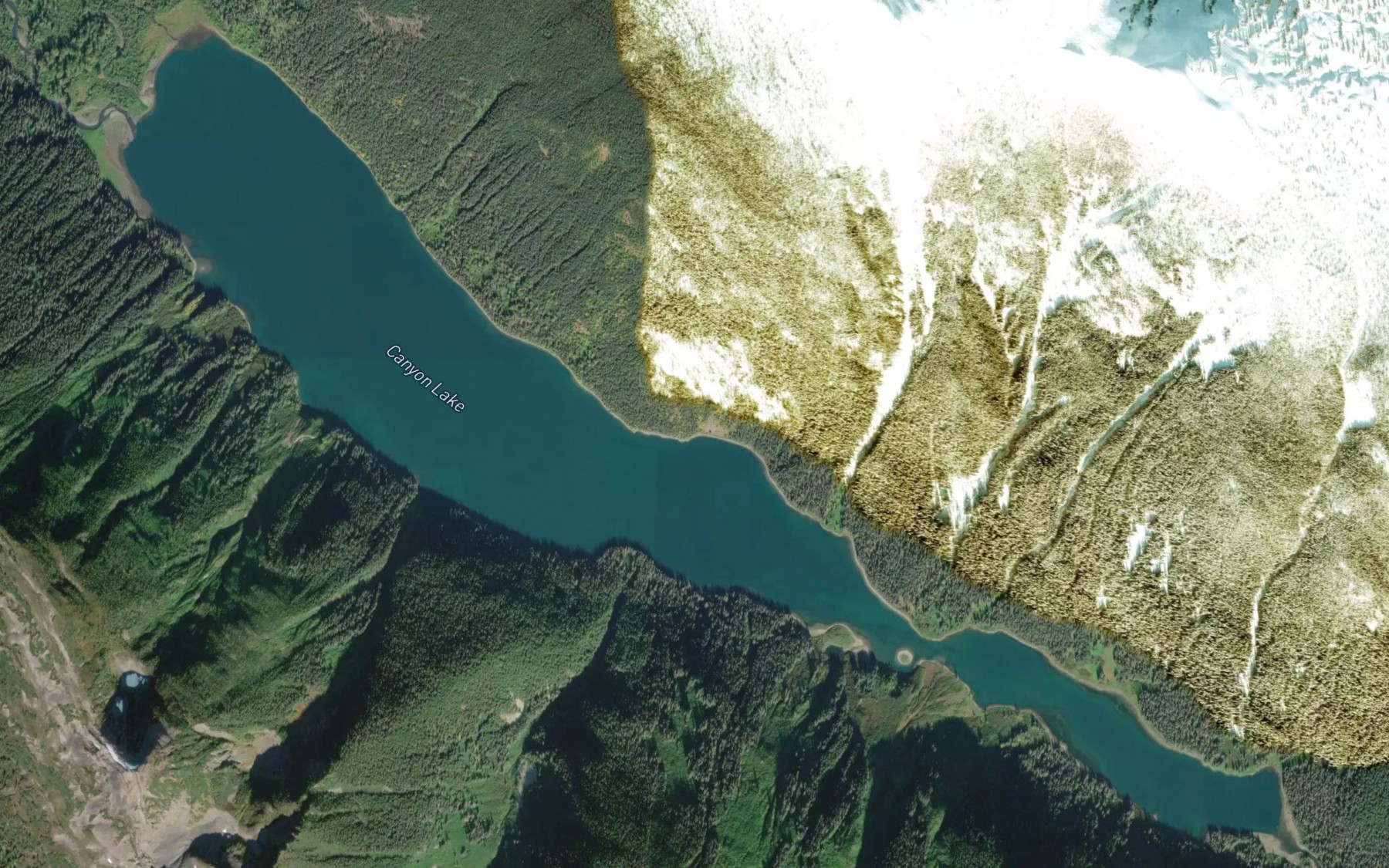 Satellite map of the Canyon Lake