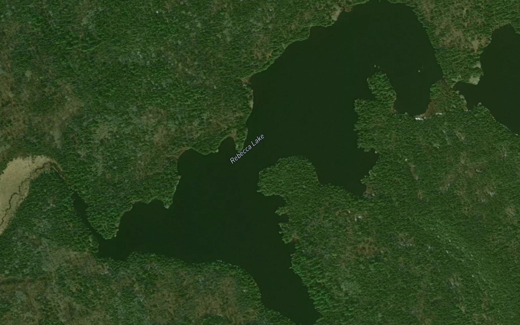 Satellite map of the Rebecca Lake