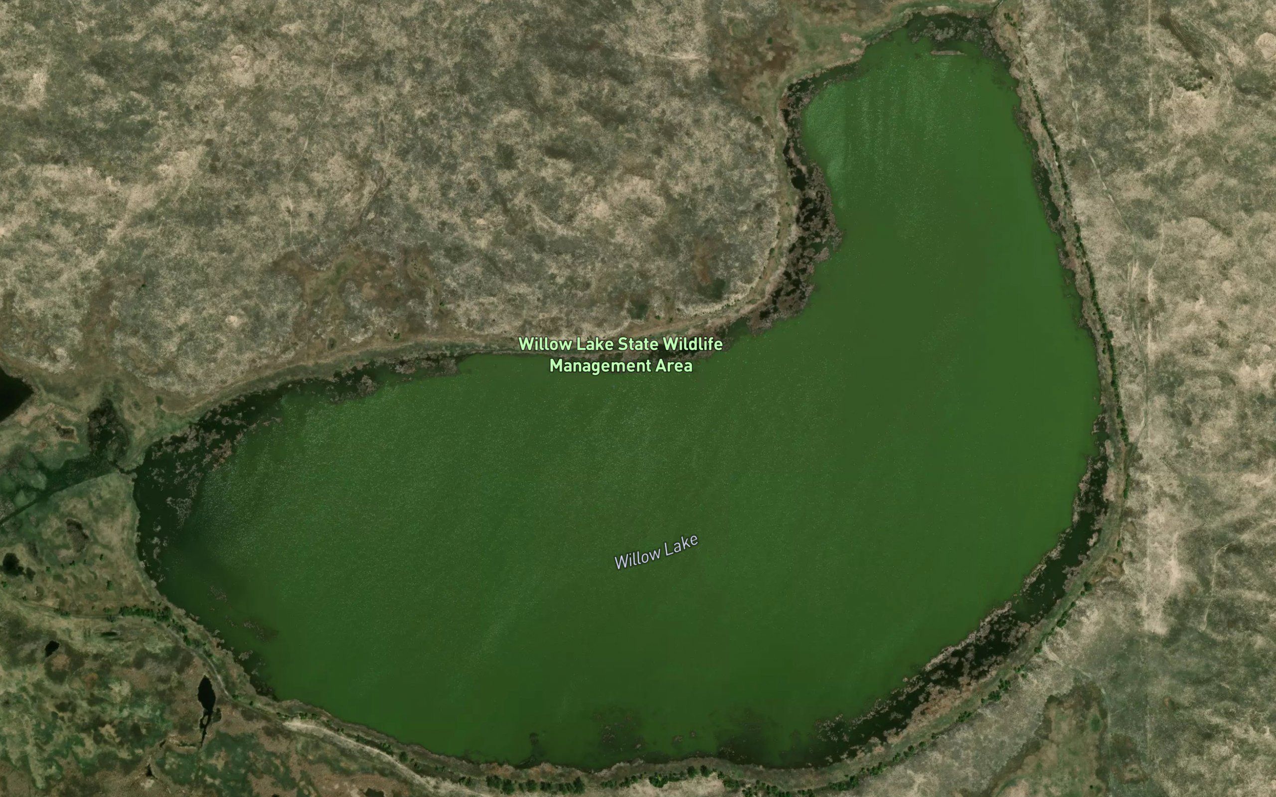 Willow Lake