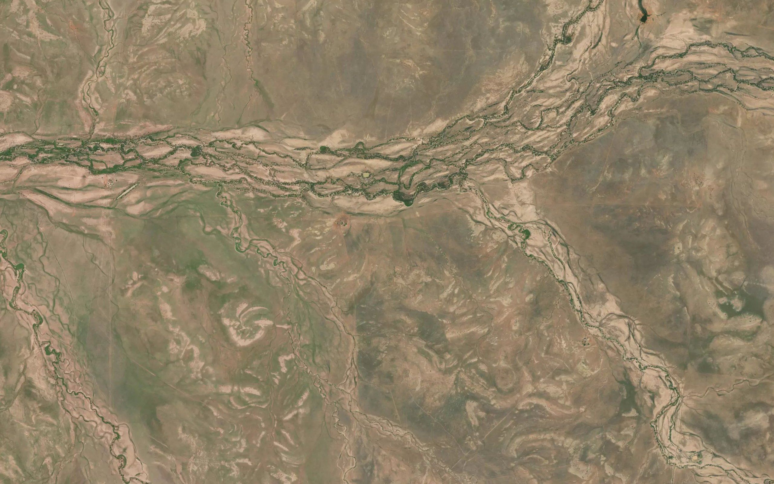 Violet Creek
