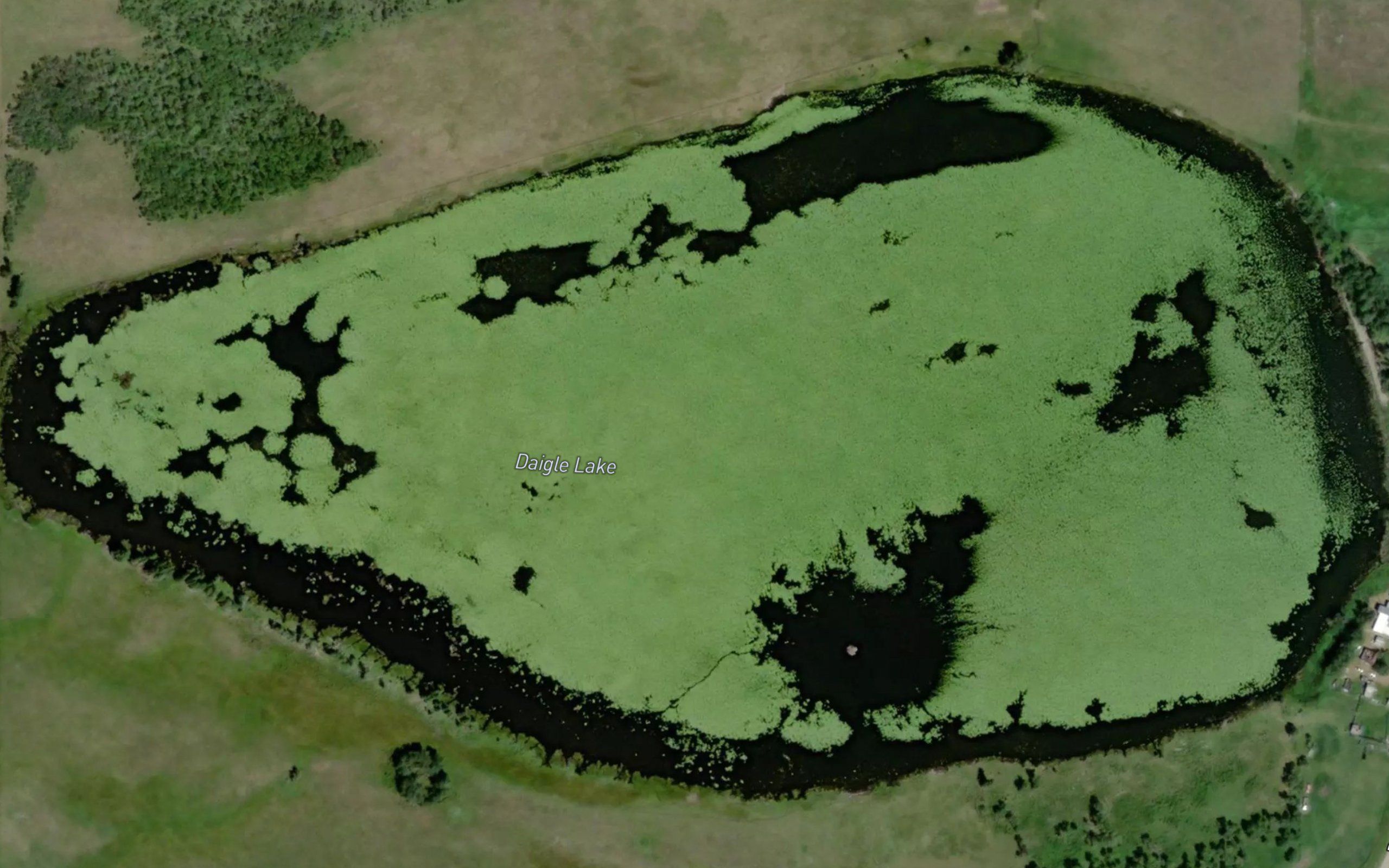 Daigle Lake