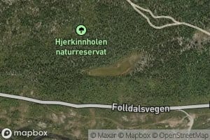 Holtjorni