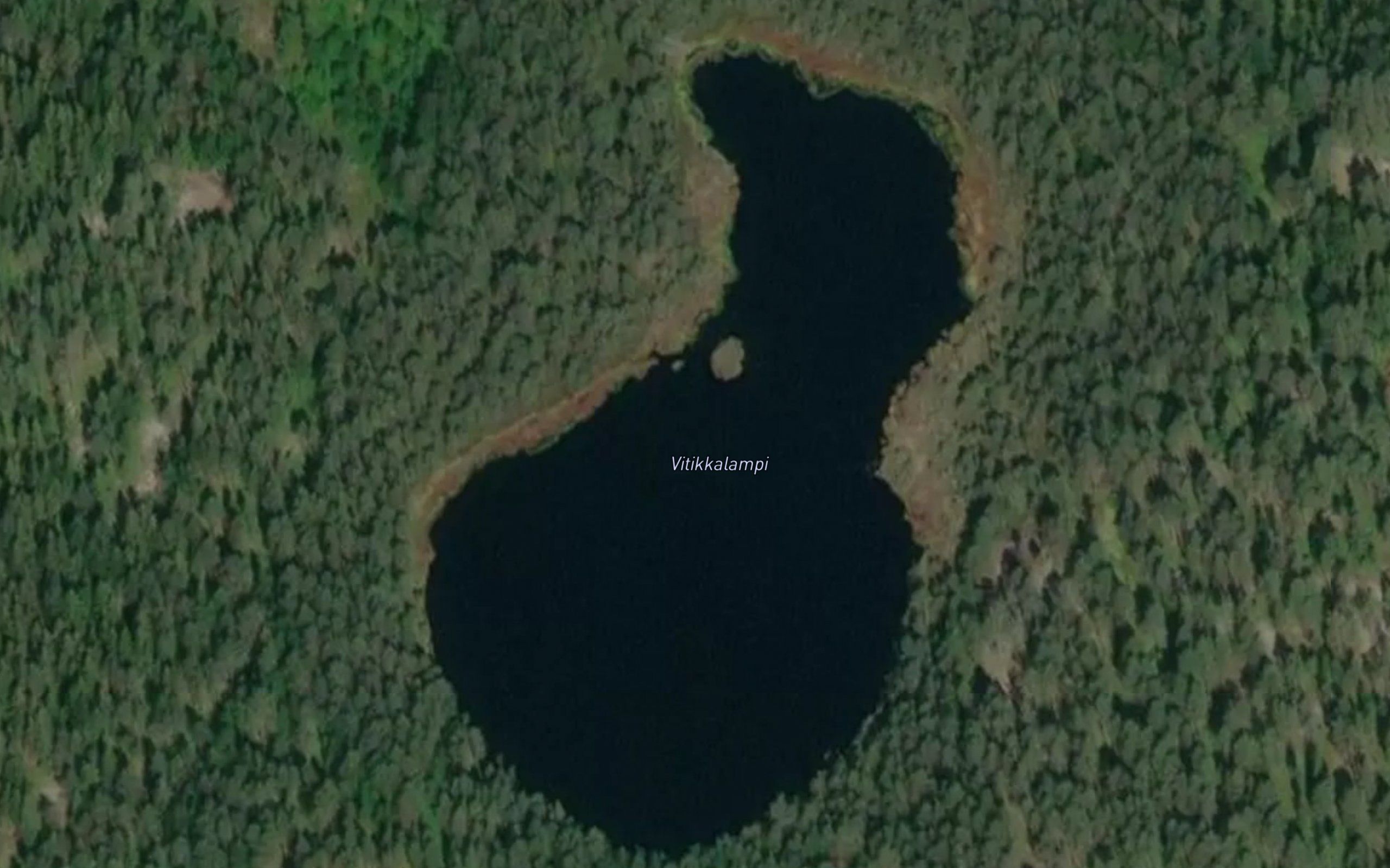 Vitikkalampi
