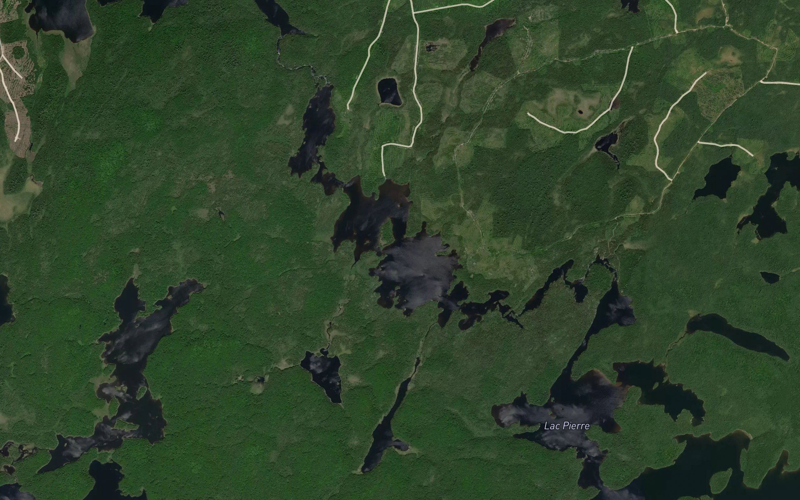 Lac Fayard