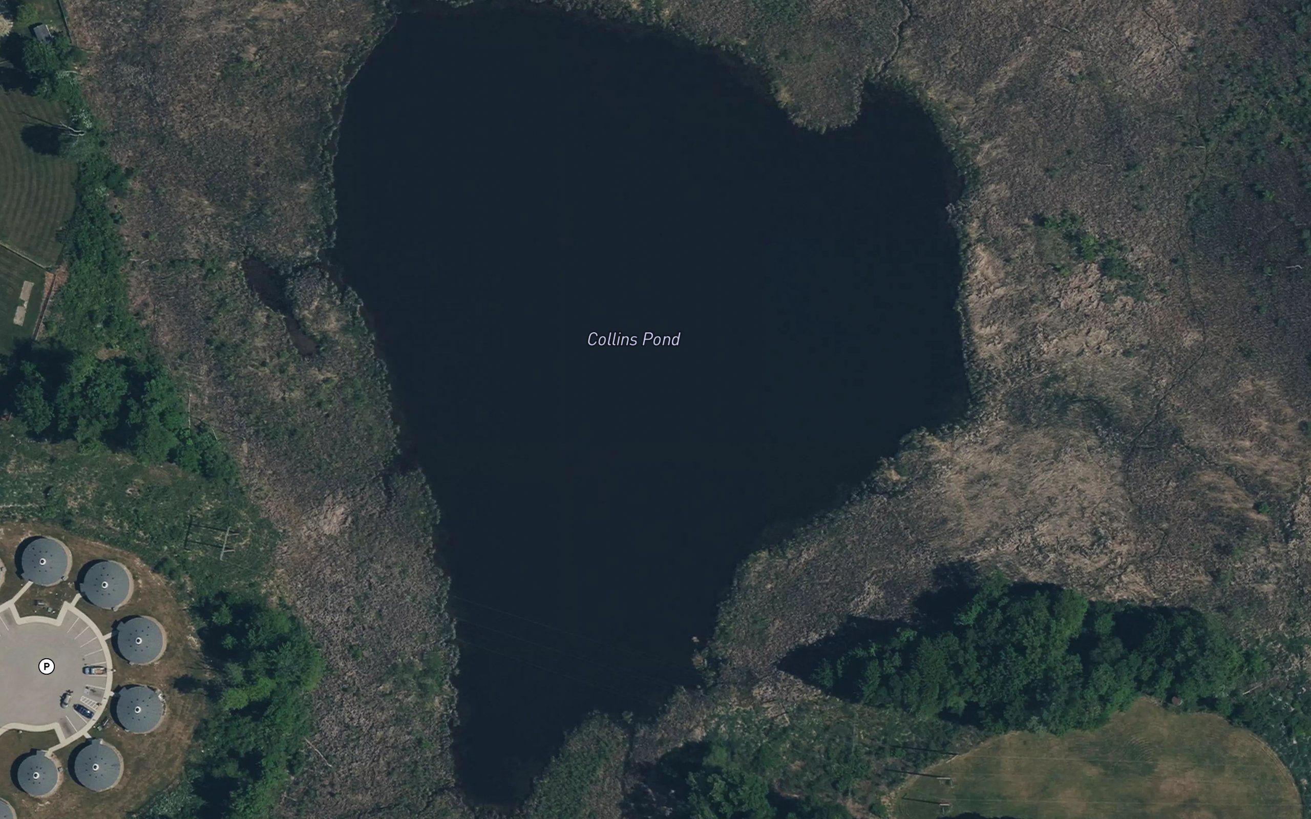 Collins Pond