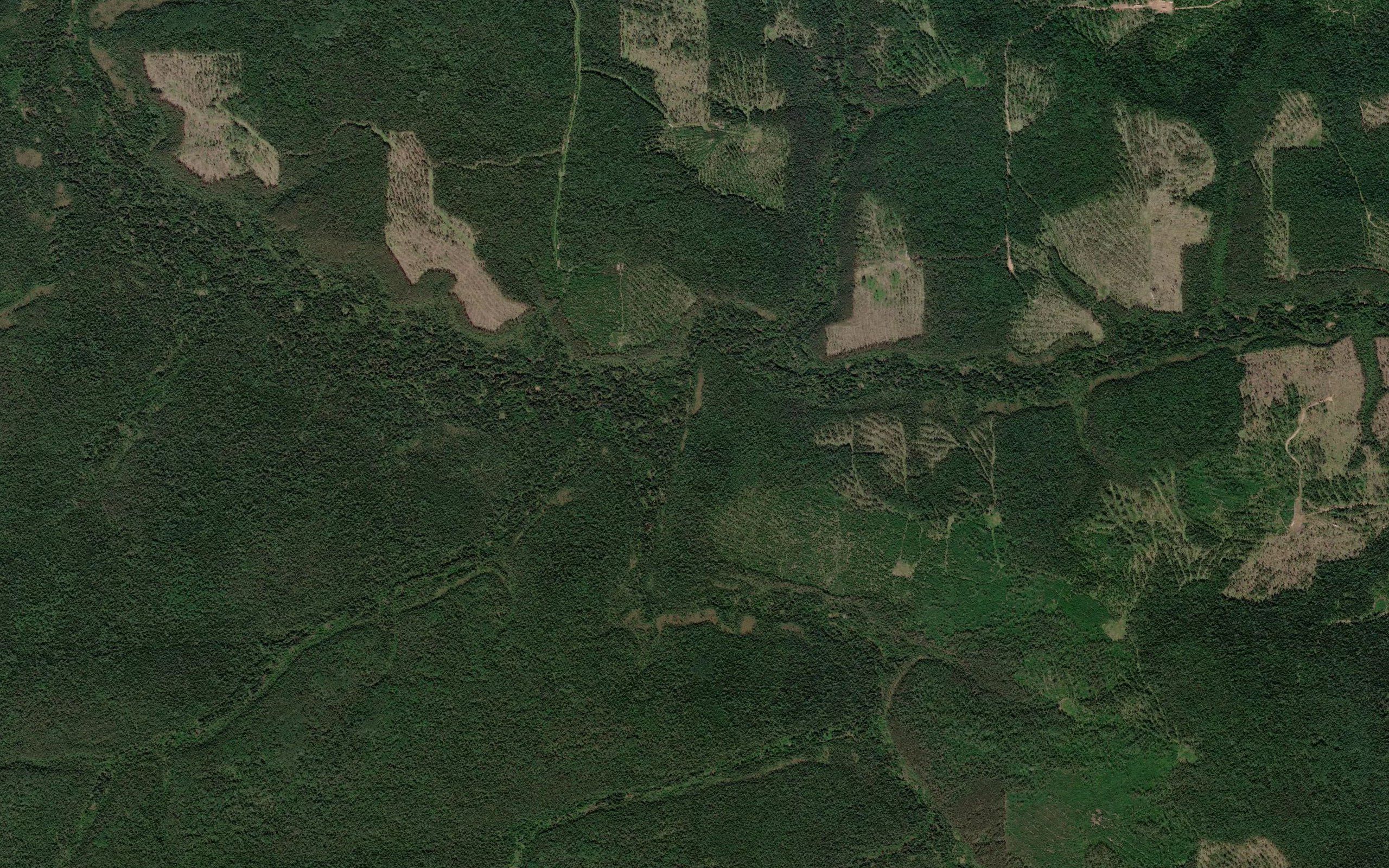 Kamysheva