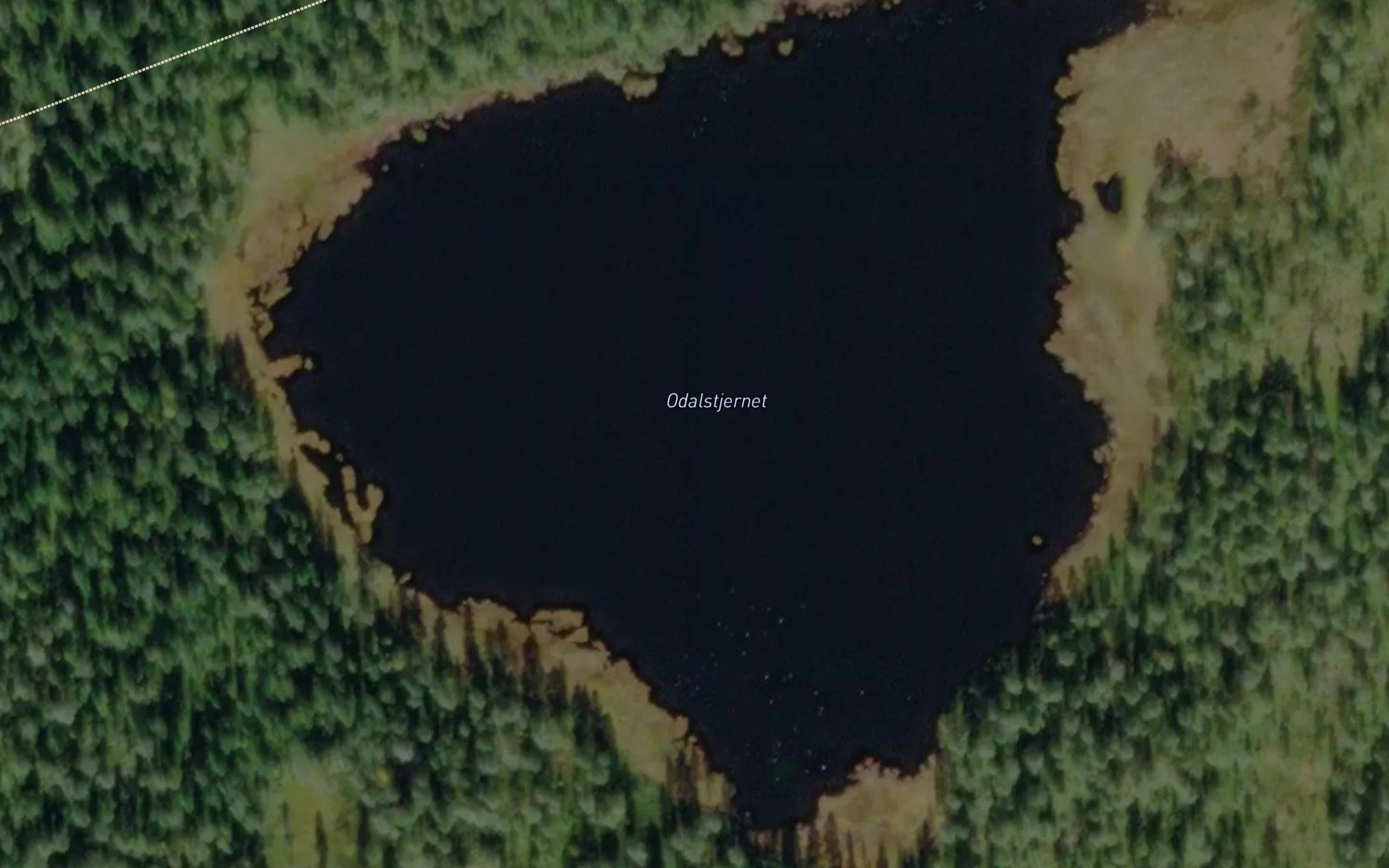 Odalstjernet