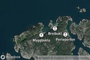 Breibukt