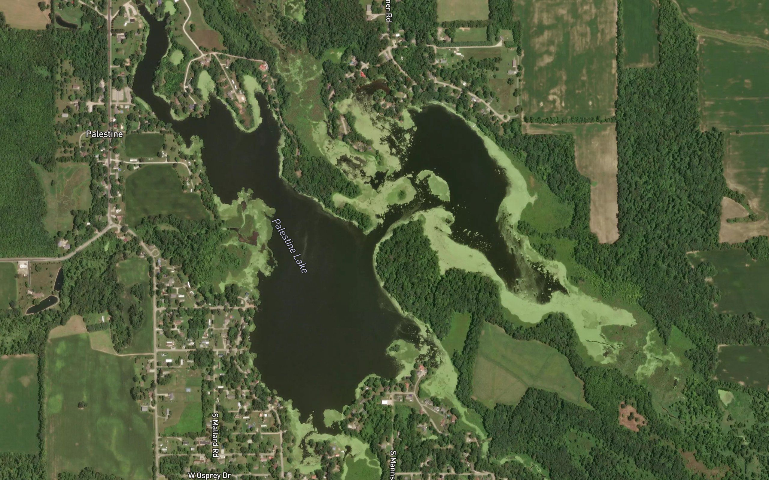 Palestine Lake
