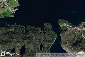 Espevika