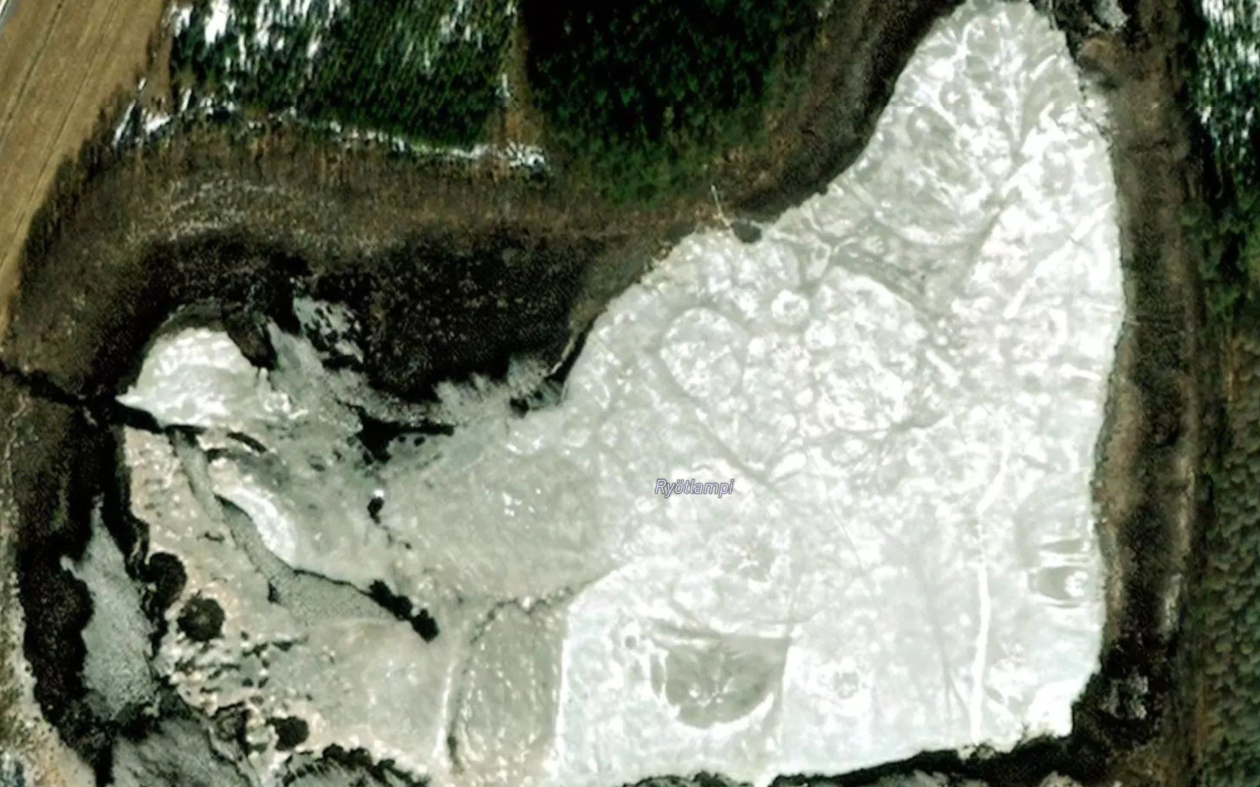 Ryotlampi