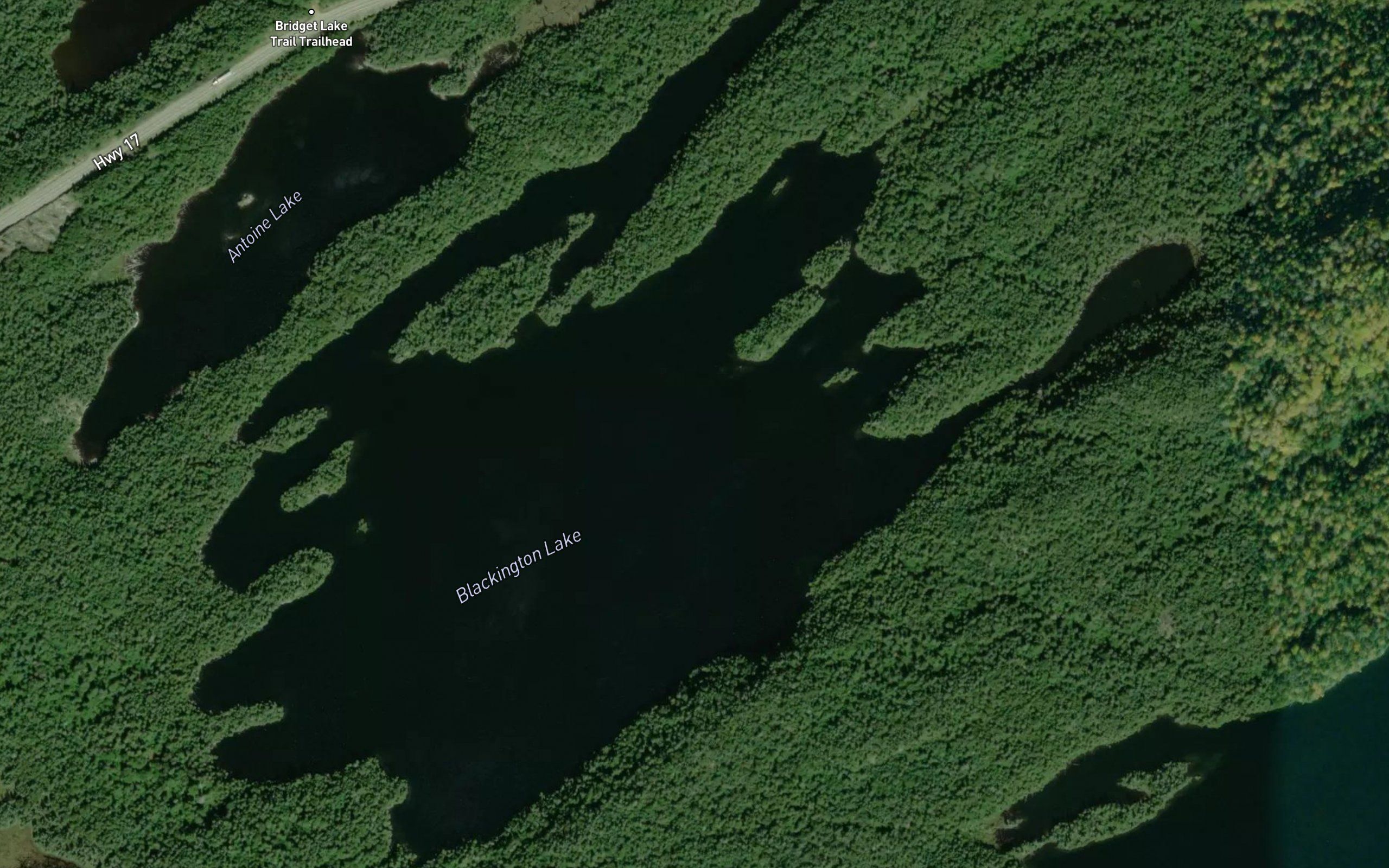 Blackington Lake