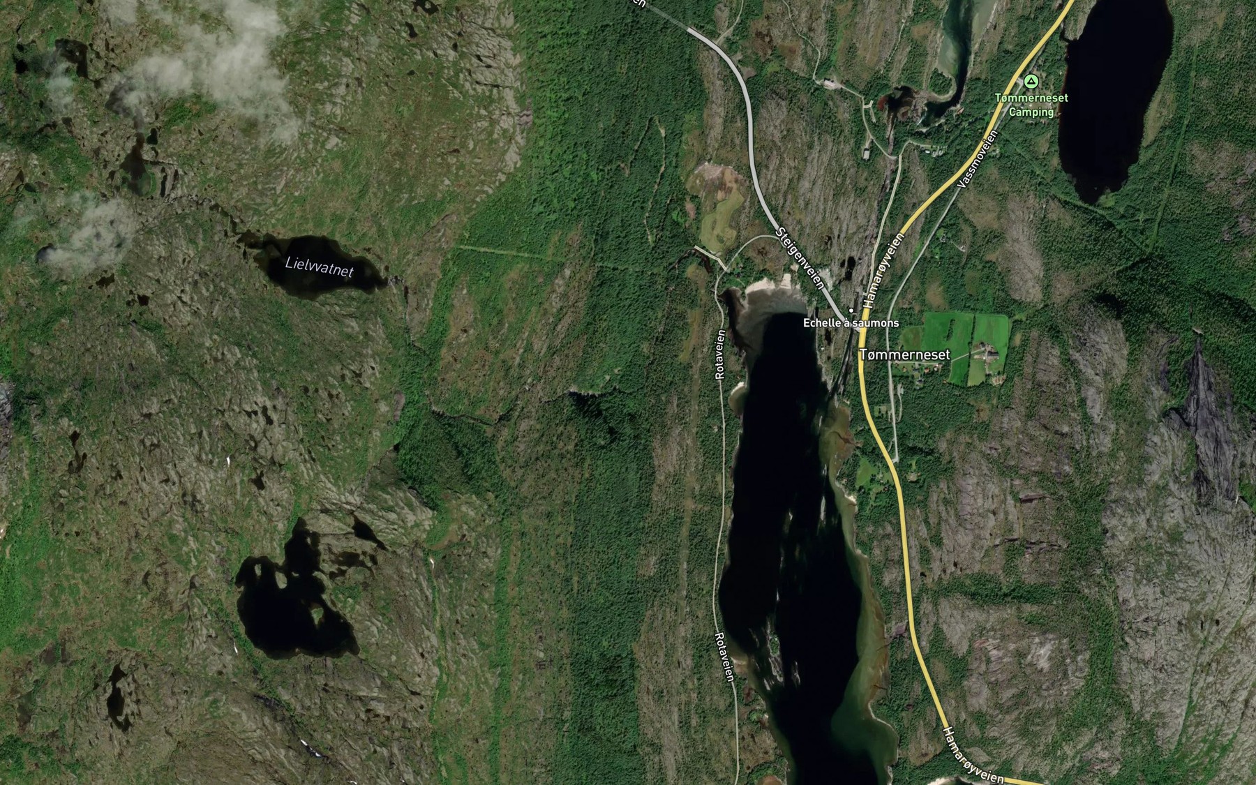 Satellite map of the Lielva